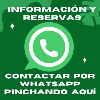 CONTACTAR WHATSAPP